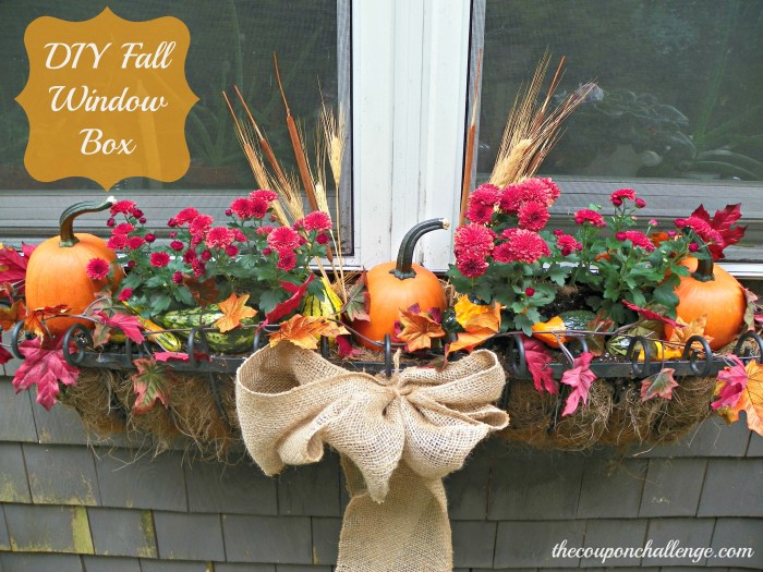 How to decorate a window box for fall