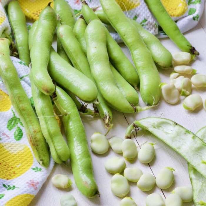 How to cook broad beans italian style