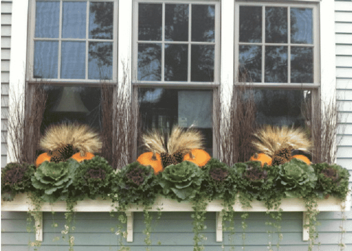 How to decorate a window box for fall