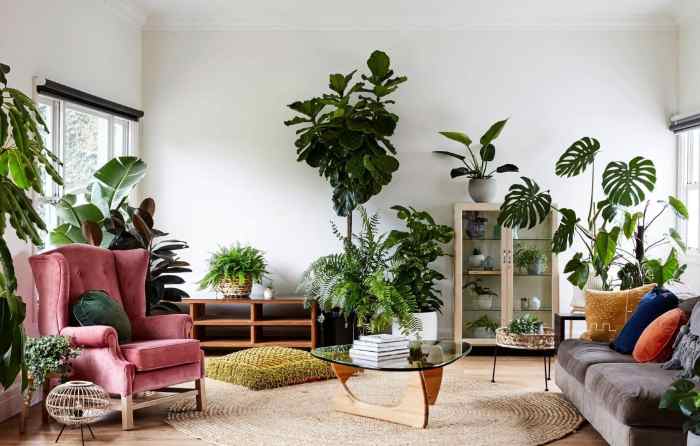 How to decorate a room with plants