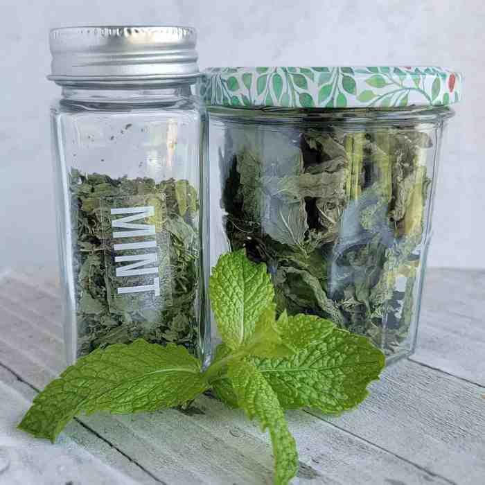 How to cook mint leaves indian style