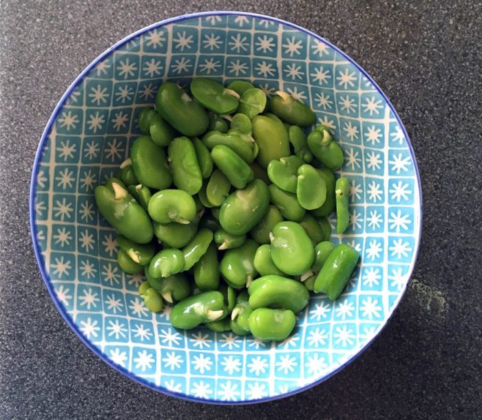 How to cook broad beans italian style